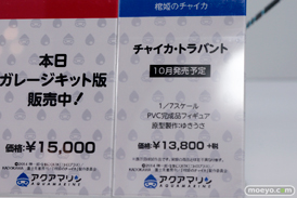 ワンダーフェスティバル 2014［夏］　フィギュア　画像　アクアマリン　19