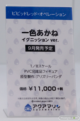 ワンダーフェスティバル 2014［夏］　フィギュア　画像　アクアマリン　21