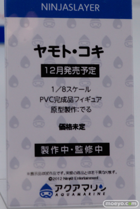 ワンダーフェスティバル 2014［夏］　フィギュア　画像　アクアマリン　25