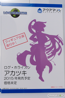 ワンダーフェスティバル 2014［夏］　フィギュア　画像　アクアマリン　33