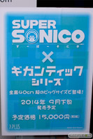 ワンダーフェスティバル 2014［夏］　フィギュア　画像　エクスプラス　そに子　　05