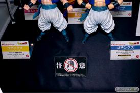 ワンダーフェスティバル 2014［夏］　フィギュア　画像　エクスプラス　そに子　　17