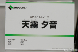 ワンダーフェスティバル 2014［夏］　フィギュア　画像　ブロッコリー　　　06