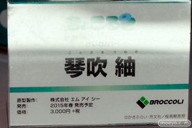 ワンダーフェスティバル 2014［夏］　フィギュア　画像　ブロッコリー　　　35