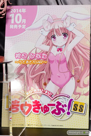 ワンダーフェスティバル 2014［夏］　フィギュア　画像　プラム　ゴッドイーター　ひなた　03