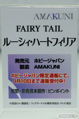 ワンダーフェスティバル 2014［夏］　フィギュア　画像　ホビージャパン　七つの大罪　エロ　パンツ　13