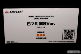 ワンダーフェスティバル 2014［夏］　フィギュア　画像　アニプレックス　悪魔　ほむら　　12