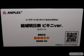 ワンダーフェスティバル 2014［夏］　フィギュア　画像　アニプレックス　悪魔　ほむら　　18