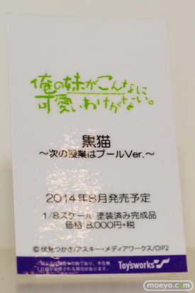 ワンダーフェスティバル 2014［夏］　フィギュア　画像　キャラアニ　尻　エロ　トイズワークス　　16
