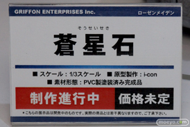 ワンダーフェスティバル 2014［夏］　フィギュア　画像　グリフォンエンタープライズ　尻　かすみ　桐乃　08