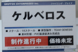 ワンダーフェスティバル 2014［夏］　フィギュア　画像　グリフォンエンタープライズ　尻　かすみ　桐乃　19
