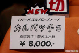 ワンダーフェスティバル 2014［夏］　フィギュア　画像　アミエ・グラン　エロ　12