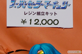 ワンダーフェスティバル 2014［夏］　フィギュア　画像　アミエ・グラン　エロ　14