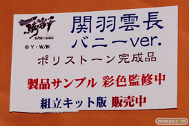 ワンダーフェスティバル 2014［夏］　フィギュア　画像　アミエ・グラン　エロ　19