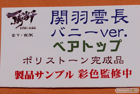 ワンダーフェスティバル 2014［夏］　フィギュア　画像　アミエ・グラン　エロ　21