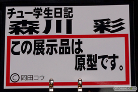 ワンダーフェスティバル 2014［夏］　画像　フィギュア　岡山フィギュア・エンジニアリング　エロ　モロ　05