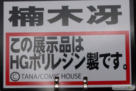 ワンダーフェスティバル 2014［夏］　画像　フィギュア　岡山フィギュア・エンジニアリング　エロ　モロ　09