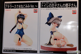 ワンダーフェスティバル 2014［夏］　画像　フィギュア　岡山フィギュア・エンジニアリング　エロ　モロ　39