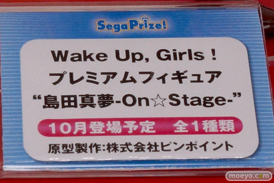 ワンダーフェスティバル 2014［夏］　セガ　フィギュア　プライズ　画像　ミク　ラブライブ！　ウェイクアップガール　エヴァ　04