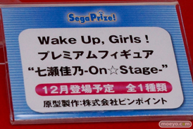 ワンダーフェスティバル 2014［夏］　セガ　フィギュア　プライズ　画像　ミク　ラブライブ！　ウェイクアップガール　エヴァ　06