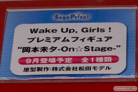 ワンダーフェスティバル 2014［夏］　セガ　フィギュア　プライズ　画像　ミク　ラブライブ！　ウェイクアップガール　エヴァ　08