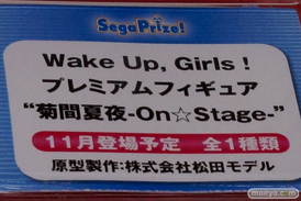 ワンダーフェスティバル 2014［夏］　セガ　フィギュア　プライズ　画像　ミク　ラブライブ！　ウェイクアップガール　エヴァ　14