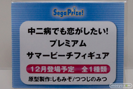 ワンダーフェスティバル 2014［夏］　セガ　フィギュア　プライズ　画像　ミク　ラブライブ！　ウェイクアップガール　エヴァ　44