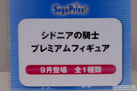 ワンダーフェスティバル 2014［夏］　セガ　フィギュア　プライズ　画像　ミク　ラブライブ！　ウェイクアップガール　エヴァ　58