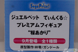 ワンダーフェスティバル 2014［夏］　セガ　フィギュア　プライズ　画像　ミク　ラブライブ！　ウェイクアップガール　エヴァ　60