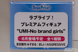 ワンダーフェスティバル 2014［夏］　セガ　フィギュア　プライズ　画像　ミク　ラブライブ！　ウェイクアップガール　エヴァ　74