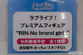 ワンダーフェスティバル 2014［夏］　セガ　フィギュア　プライズ　画像　ミク　ラブライブ！　ウェイクアップガール　エヴァ　80