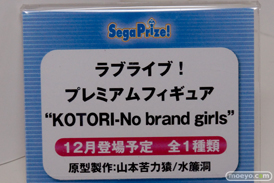 ワンダーフェスティバル 2014［夏］　セガ　フィギュア　プライズ　画像　ミク　ラブライブ！　ウェイクアップガール　エヴァ　82