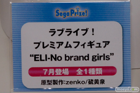 ワンダーフェスティバル 2014［夏］　セガ　フィギュア　プライズ　画像　ミク　ラブライブ！　ウェイクアップガール　エヴァ　86