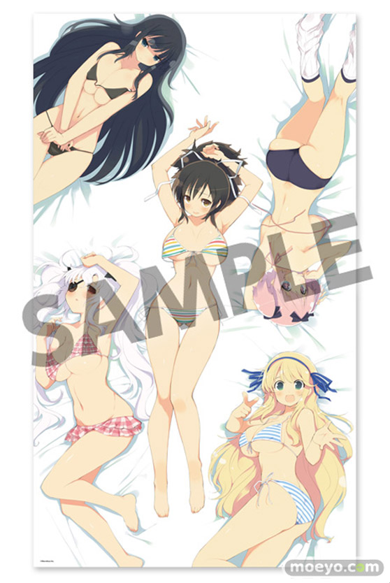 閃乱カグラ 爆乳ハイパーおやすみシーツ 国立半蔵学院 二回戦 画像 ホビーストック