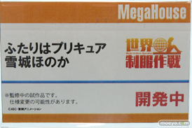 キャラホビ2014　イベント　画像　レビュー　フィギュア　メガハウス　15