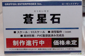 キャラホビ2014 イベント 画像 レビュー フィギュア グリフォンエンタープライズ 12