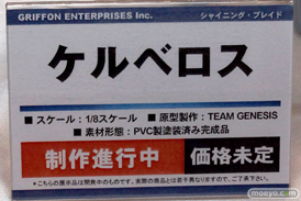 キャラホビ2014 イベント 画像 レビュー フィギュア グリフォンエンタープライズ 22