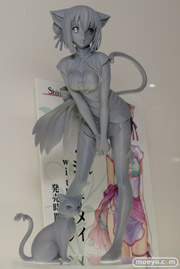 ワンダーフェスティバル 2014［夏］　画像　フィギュア　レビュー　コトブキヤ　シャイニング・ブレイド リン・シャオメイ ｗｉｔｈ リンリン 02