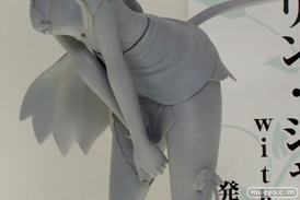 ワンダーフェスティバル 2014［夏］　画像　フィギュア　レビュー　コトブキヤ　シャイニング・ブレイド リン・シャオメイ ｗｉｔｈ リンリン 07