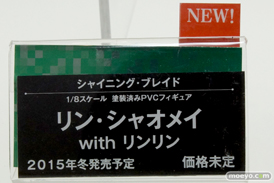 ワンダーフェスティバル 2014［夏］　画像　フィギュア　レビュー　コトブキヤ　シャイニング・ブレイド リン・シャオメイ ｗｉｔｈ リンリン 12
