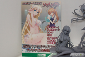 ワンダーフェスティバル 2014［夏］　画像　フィギュア　レビュー　コトブキヤ　4-Leaves シュヴァルツェスマーケン アイリスディーナ（仮）　11