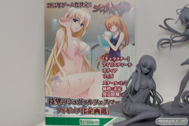 ワンダーフェスティバル 2014［夏］　画像　フィギュア　レビュー　コトブキヤ　4-Leaves シュヴァルツェスマーケン カティア（仮）　10