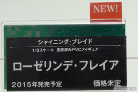 ワンダーフェスティバル 2014［夏］　コトブキヤ　シャイニング・ブレイド　ローゼリンデ・フレイア　画像　フィギュア　レビュー　07