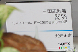 東京ゲームショウ2014 画像　フィギュア　レビュー　スクウェア・エニックス　三国志乱舞 関羽 　11