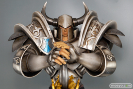 A+(エイプラス) ドラゴンズクラウン ファイター 画像 サンプル レビュー フィギュア 08