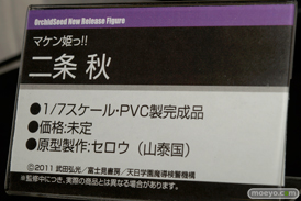 アクアマリン　アルカディア　エクスプラス　オーキッドシード　アオシマ　アゾン　アルター　画像　サンプル　レビュー　フィギュア　美少女　宮沢模型 第34回 商売繁盛セール　ラウラ　16