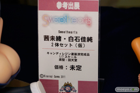 回天堂　レチェリー　グリフォン　ビート　画像　サンプル　フィギュア　レビュー　透け過ぎ　そに子　ぽちゃ子　14