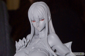 戦場のヴァルキュリア セルベリア・ブレス ヴェルテクス　画像　サンプル　フィギュア　レビュー　おっぱい　05