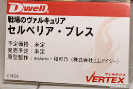 戦場のヴァルキュリア セルベリア・ブレス ヴェルテクス　画像　サンプル　フィギュア　レビュー　おっぱい　09