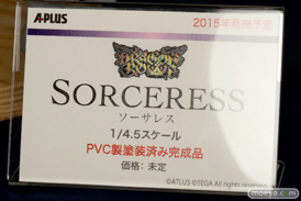 ドラゴンズクラウン ソーサレス エイプラス　画像　サンプル　レビュー　フィギュア　剛田チーズ BENGUS　10